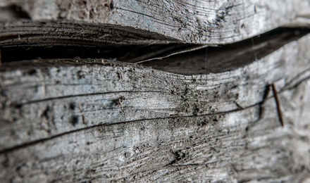 Unser Holz