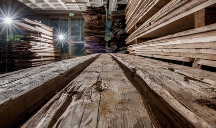 Unser Holz