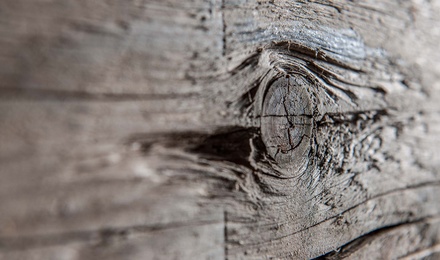 Unser Holz