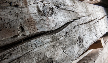 Unser Holz
