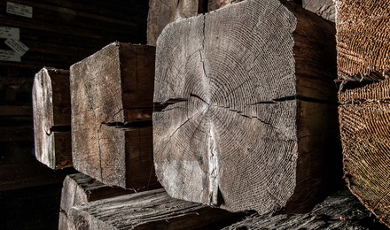 Unser Holz