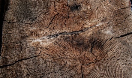 Unser Holz