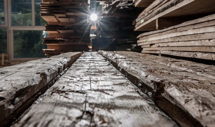 Unser Holz