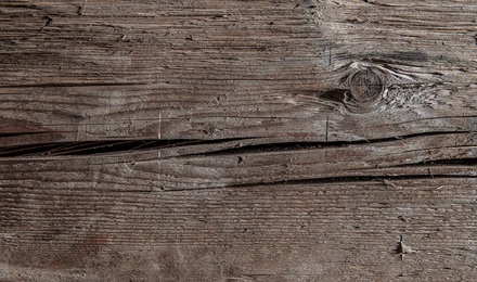 Unser Holz