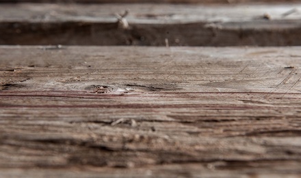 Unser Holz